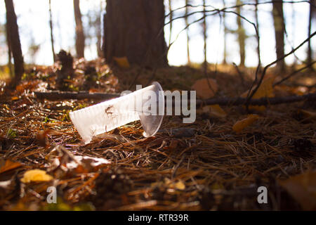 Tasse à café jetés illégales en forêt d'automne Banque D'Images