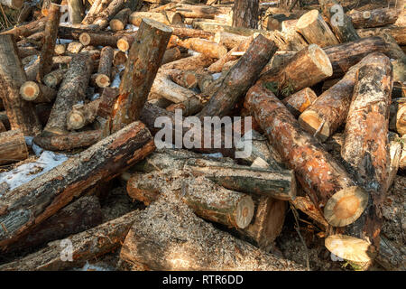 Bois de chauffage empilé en tas à l'extérieur de près. Une pile de bois de chauffage coupé prêt pour l'empilage. Préparation de la chambre chauffage en hiver. À l'extérieur. Banque D'Images