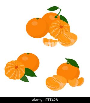 Mandarines, mandarine, clémentine avec des feuilles isolées sur fond blanc. Les agrumes. Vector Illustration set Illustration de Vecteur