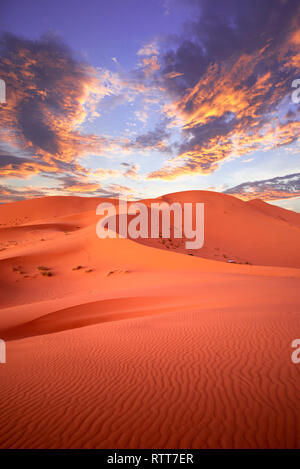 Lever du soleil magnifique sur les dunes de l'Erg Chebbi dans le désert du Sahara, près de Merzouga, Maroc, Afrique. Beau paysage de sable avec de superbes sky Banque D'Images