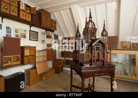 Grube Samson, Bergwerksmuseum, Harzer Roller Museum, Sankt Andreasberg, Harz, Niedersachsen, Deutschland Banque D'Images