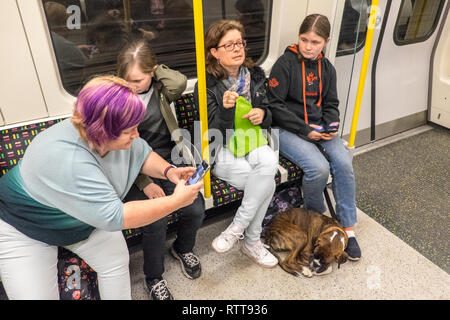 Photographie, de Placid,bien,se sont comportés,comportement,bonne,de,animal,en,Chien,sur,le plomb,Assis,de,au calme,train,transport,London Underground tube,transport,Angleterre Banque D'Images