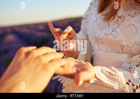 Proposition de mariage dans un champ de lavande. Banque D'Images