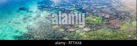 Vue aérienne d'une barrière de corail, qui prospèrent dans les eaux peu profondes, les îles Raja Ampat, Papouasie occidentale, en Indonésie, l'Océan Pacifique Banque D'Images