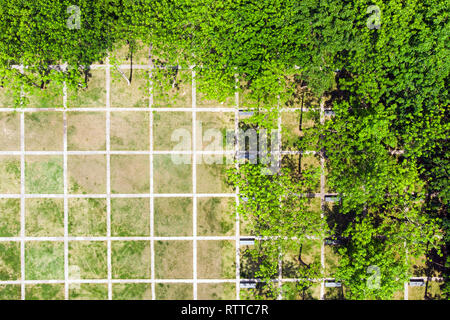 Paysage urbain rationnelle de conception. Vue de dessus du filet régulier dans le vert du parc de Shenzhen, en Chine. Banque D'Images