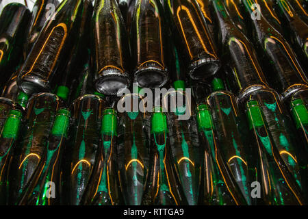 Bouteilles de vin vert stockés après beeing rempli Banque D'Images