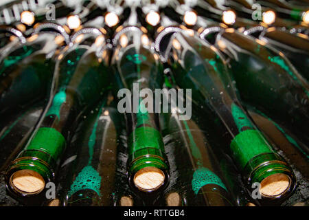 Bouteilles de vin vert stockés après beeing rempli Banque D'Images