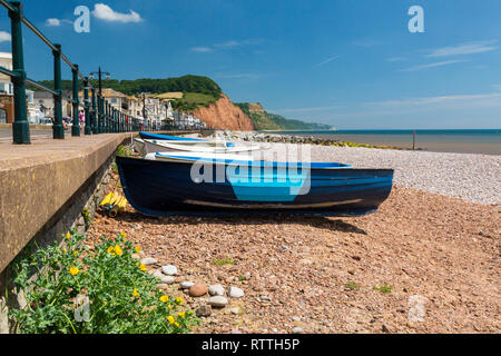 Une collection de barques liée à la promenade garde-fous aux Sidmouth sur la côte jurassique, Devon, England, UK Banque D'Images