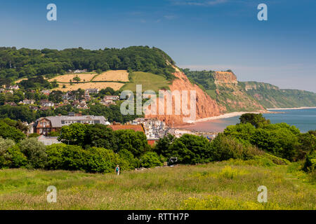 À l'est le long des falaises de grès rouge sur la côte jurassique à Sidmouth, Devon, England, UK Banque D'Images