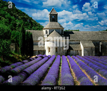 FR - Vaucluse : Abbaye Notre Dame de Sénanque près de Gordes Banque D'Images