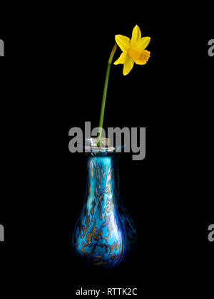 Miniature unique fleur jonquille jaune vif (Narcissus tete a tete) dans un petit verre à motifs vert bleu vase isolé sur fond noir. Banque D'Images