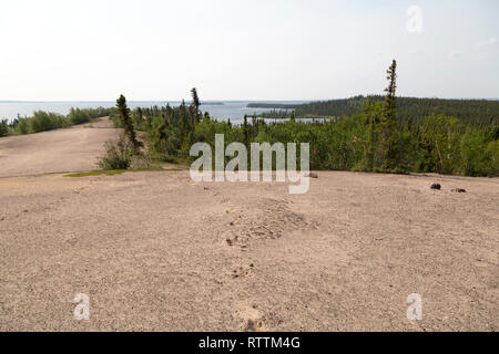 Un esker au Manitoba, Canada. Forêt peut être vu de la plage de sable de ridge, formées par les dépôts de subgalcial au cours du dernier âge glaciaire. Banque D'Images