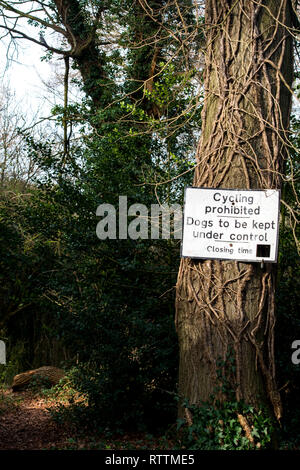 Croydon, Royaume-Uni - Mars 03, 2019 : Purley hêtres parc avec un grand grand nombre de jeunes et de hêtres matures Banque D'Images