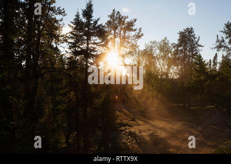 Le soleil brille à travers les arbres dans la forêt du nord du Manitoba, Canada. La lumière fournit la chaleur et l'énergie. Banque D'Images