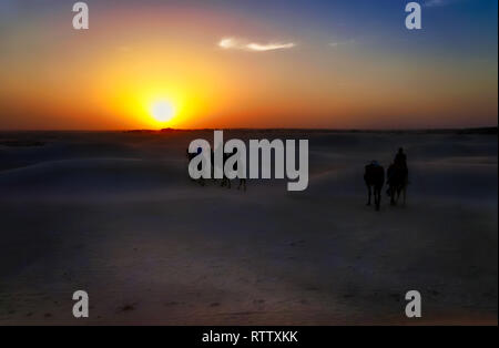 Caravanes de chameaux traversant désert au coucher du soleil. Banque D'Images