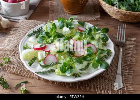 Salade de printemps avec plantes sauvages comestibles comme le mouron des oiseaux, le gaillet et yarrow Banque D'Images