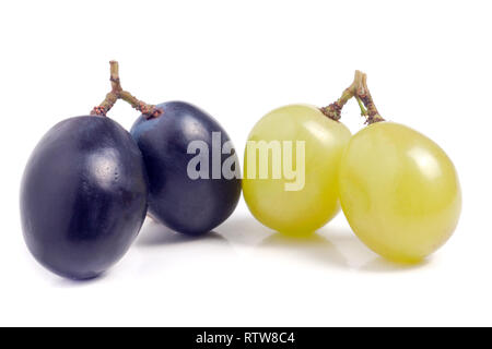 Les raisins verts et bleus isolé sur fond blanc Banque D'Images