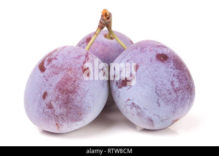 Trois prunes isolé sur fond blanc Banque D'Images