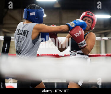 2 mars 2019 : Danisha Ramirez (à gauche) avec un Chahandre hits Sana main droite à l'Arnold Sports Festival à Columbus, Ohio, USA. Brent Clark/Alamy Live News Banque D'Images