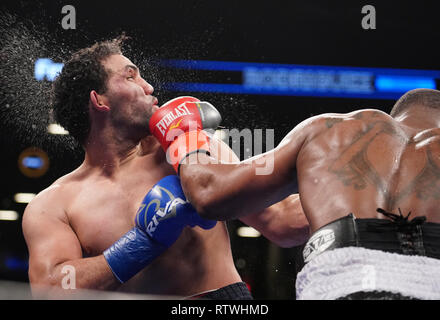 Brooklyn, New York, USA. 2e Mar, 2019. EDWIN RODRIGUEZ (lignes bleue et rouge) batailles MITCH WILLIAMS dans un combat cruiserweight au Barclays Center de Brooklyn, New York. Crédit : Joel Plummer/ZUMA/Alamy Fil Live News Banque D'Images