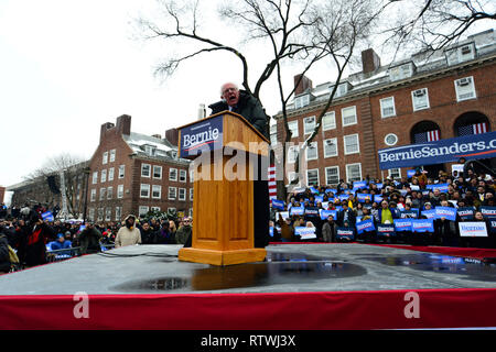 New York, NY, USA. 2 mars, 2019. Bernie Sanders, sénateur du Vermont nous indépendants parle sur scène alors qu'il lance sa campagne pour les élections présidentielles américaines de 2020 sur un ticket démocratique lors d'un rassemblement au Brooklyn College, à Brooklyn, New York le 2 mars 2019. Credit : OOgImages/Alamy Live News Banque D'Images