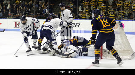 New Haven, CT, USA. 2e Mar, 2019. 2 mars 2019 - New Haven, Connecticut, USA : gardien de Yale SAM TUCKER contrôles de zone de la rondelle lors du Quinnipiac 4-1 win, qui a décroché le championnat de la saison régulière, les lynx et les rend le n° 1 dans l'ensemble des semences dans la CEAC 2019 Tournoi de hockey. Matches entre les deux écoles, qui se trouvent à 13 km de l'autre à New York, ont été une rivalité chauffée depuis à 2 équipes a joué pour un championnat national en 2013, qui a été remporté par Yale 4-0. Stan Godlewski/ZUMA Press Crédit : Stan Godlewski/ZUMA/Alamy Fil Live News Banque D'Images