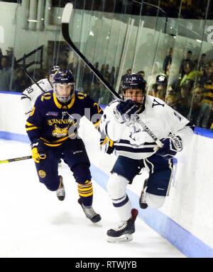 New Haven, CT, USA. 2e Mar, 2019. 2 mars 2019 - New Haven, Connecticut, USA Quinnipiac : # 20 CRAIG MARTIN et Yale # 11 ANDREW GAUS suivre la rondelle lors du Quinnipiac 4-1 win, qui a décroché le championnat de la saison régulière, les lynx et les rend le n° 1 dans l'ensemble des semences dans la CEAC 2019 Tournoi de hockey. Matches entre les deux écoles, qui se trouvent à 13 km de l'autre à New York, ont été une rivalité chauffée depuis à 2 équipes a joué pour un championnat national en 2013, qui a été remporté par Yale 4-0. Stan Godlewski/ZUMA Press Crédit : Stan Godlewski/ZUMA/Alamy Fil Live News Banque D'Images