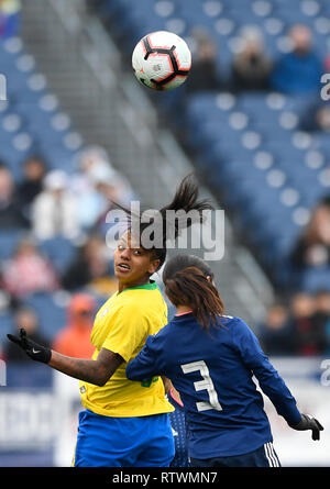 Nashville, USA. 3e Mar, 2019. Geyse (L) du Brésil rivalise avec Aya Sameshima du Japon au cours d'un SheBelieves women's Cup Match de football au stade de Nissan à Nashville, Tennessee, aux États-Unis, le 2 mars 2019. Le Brésil a perdu 1-3. Source : Xinhua/Alamy Live News Banque D'Images