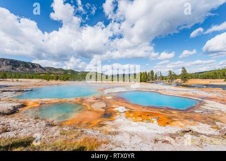 Piscine opale noire, Hot Spring, algues jaunes et les dépôts minéraux, Biscuit Basin, Parc National de Yellowstone, Wyoming, USA Banque D'Images