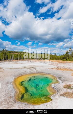 Ouest Turquoise, Biscuit Geyser Basin, Parc National de Yellowstone, Wyoming, USA Banque D'Images