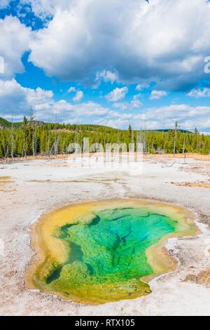 Ouest Turquoise, Biscuit Geyser Basin, Parc National de Yellowstone, Wyoming, USA Banque D'Images