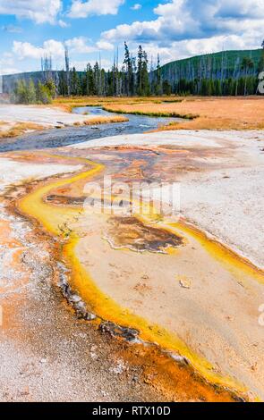 Sols colorés, des sources chaudes à Iron Spring Creek, rivière dans le bassin de sable noir, Parc National de Yellowstone, Wyoming, USA Banque D'Images