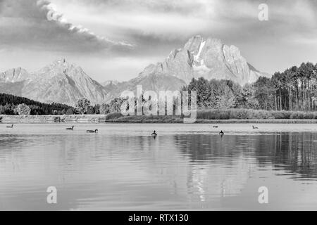 Le noir et blanc, le Mont Moran reflète dans la rivière Snake, matin atmosphère à Oxbow Bend, les arbres d'automne et le Grand Teton Range Banque D'Images