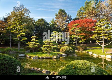 Jardin japonais de Nordpark, Düsseldorf, Rhénanie du Nord-Westphalie, Allemagne Banque D'Images