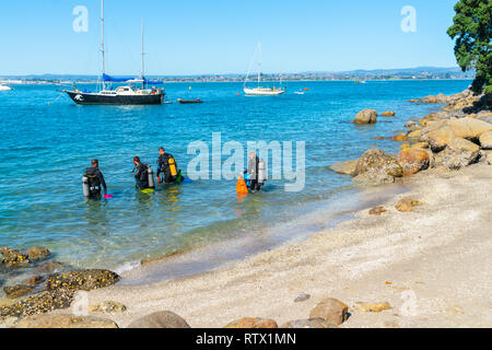 TAURANGA Nouvelle-zélande - 3 mars 2019;Scuba divers entrant dans l'eau au quai de la baie pilote annuel pour nettoyer la plage Banque D'Images