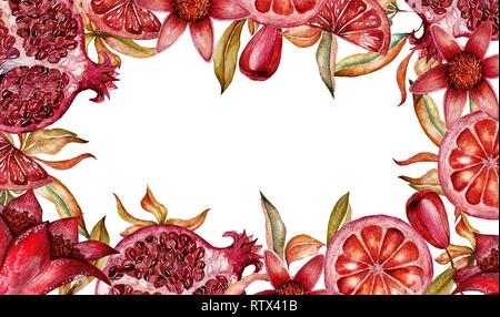 Floral frame coloré mignon grenade, frontière sur fond blanc pour logo, tissu, textile, de la texture, du papier d'emballage, papier peint, cartes, web design Banque D'Images