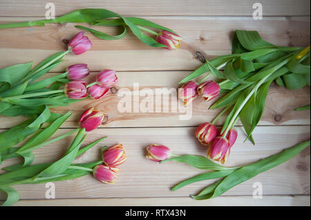 Tulipes fleurs couché sur la table en bois Banque D'Images