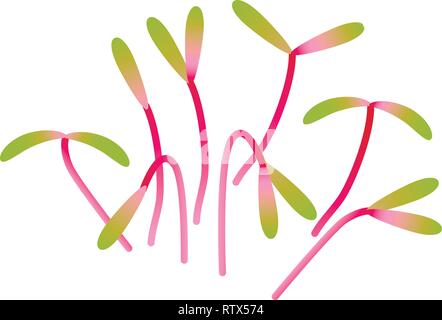 Betterave Microgreens. Groupe de plantes. Supplément de vitamines, de nourriture vegan Illustration de Vecteur