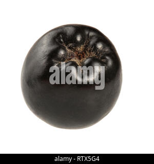 Seul aronia chokeberry (Berry) isolé sur fond blanc. Banque D'Images