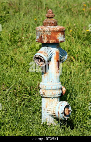 Vieux rouillé vintage retro metal d'incendie avec lumière pâle couleur bleu entouré de hautes herbes vertes et petites fleurs sur chaude journée ensoleillée Banque D'Images