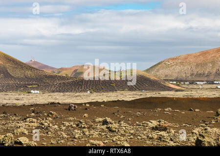 Vin lave champs autour de la Montana de Juan Bello à Lanzarote, Espagne. Banque D'Images