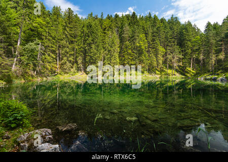 L'eau claire au bord du lac près de l'Eibsee Wetterstein à Garmisch-Partenkirchen, Allemagne en été. Banque D'Images