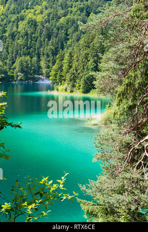 Eau turquoise au bord du lac près de l'Eibsee Wetterstein à Garmisch-Partenkirchen, Allemagne en été. Banque D'Images