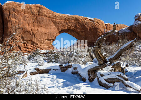 Surface couverte de neige avec une belle fenêtre du Nord avec un ciel bleu en arrière-plan, l'Arches National Park Banque D'Images