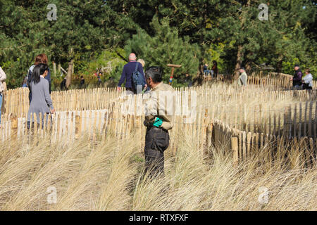 Lisse, Pays-Bas, Holland - Mai 2016 : les touristes marcher dans l'herbe sèche et clôture en bois au printemps dans le jardin de fleurs Keukenhof Banque D'Images