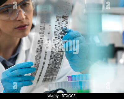 Female scientist de l'affichage d'un autoradiogram gel pendant une expérience en laboratoire. Banque D'Images