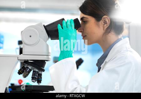 L'examen scientifique des spécimens au microscope au cours d'un essai clinique dans le laboratoire. Banque D'Images