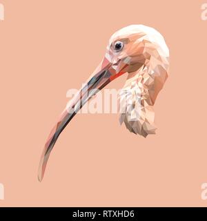 Ibis low poly design. Illustration vecteur de triangle. Illustration de Vecteur