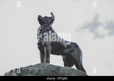 Sheepdog statue au Lac Tekapo, île du Sud, Nouvelle-Zélande Banque D'Images