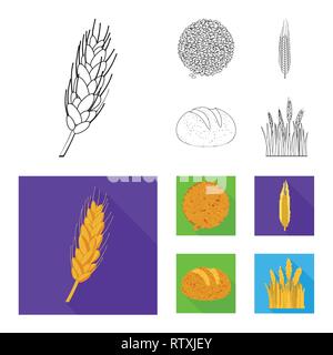 Printemps, pain, spike,hiver,graines de blé dur,Culture,orge,farine,terrain,céréales,graines,petit déjeuner,maïs,oreille,chignon,son,sain,campagne,or,pain,DE,paille,automne,rural,meadow,snack,venu,or,agriculture,avoine seigle,agriculture,plantes,blé,maïs,grain,récolte,ferme,,champ,set,icône,,illustration,collection,isolé,design,graphisme,élément vecteur vecteurs,signer , Illustration de Vecteur